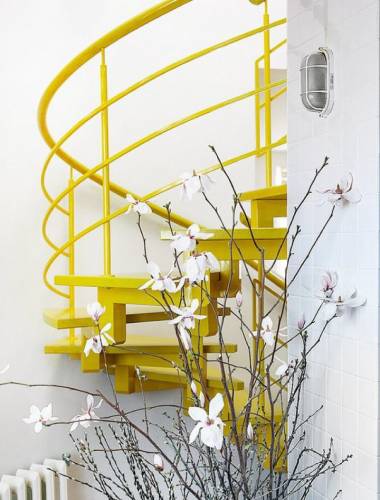 Цвет горчицы в интерьере: уроки дизайна Варвары Зеленецкой